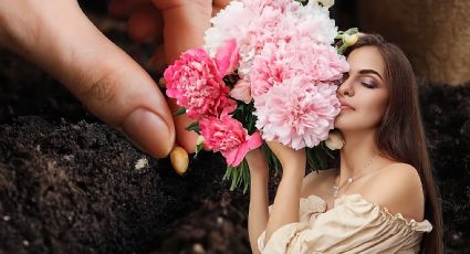Estas son las plantas que podrías sembrar en noviembre para tener un jardín lleno de color en verano