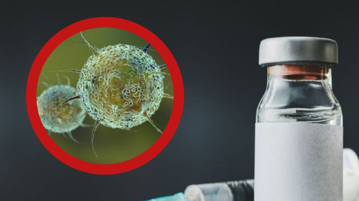 Autoridades en Laredo emiten alerta por 3 virus que pueden ser mortales; ¿cómo hay que protegerse?