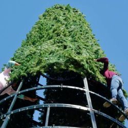 La magia de la Navidad 2025 empieza a sentirse en el parque Viveros; emoción entre las familias neolaredenses