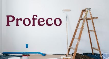 Profeco: la pintura barata y de excelente calidad; es ideal para tu hogar