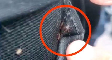 'Déjalas quietas que están dormiditas'; le dan a policía chaleco antibalas infestado de cucarachas | VIDEO