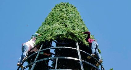 La magia de la Navidad 2025 empieza a sentirse en el parque Viveros; emoción entre las familias neolaredenses