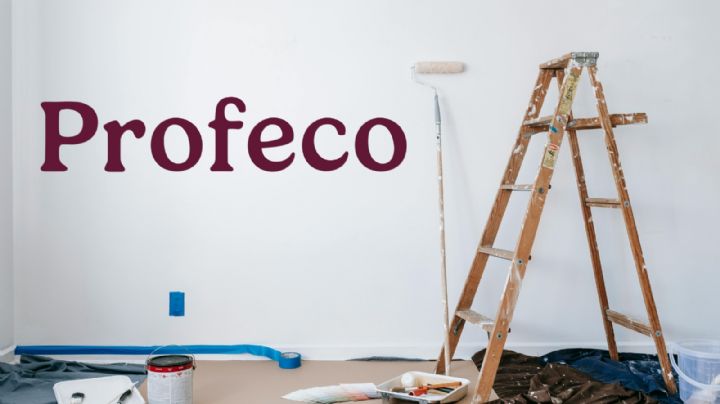 Profeco: la pintura barata y de excelente calidad; es ideal para tu hogar