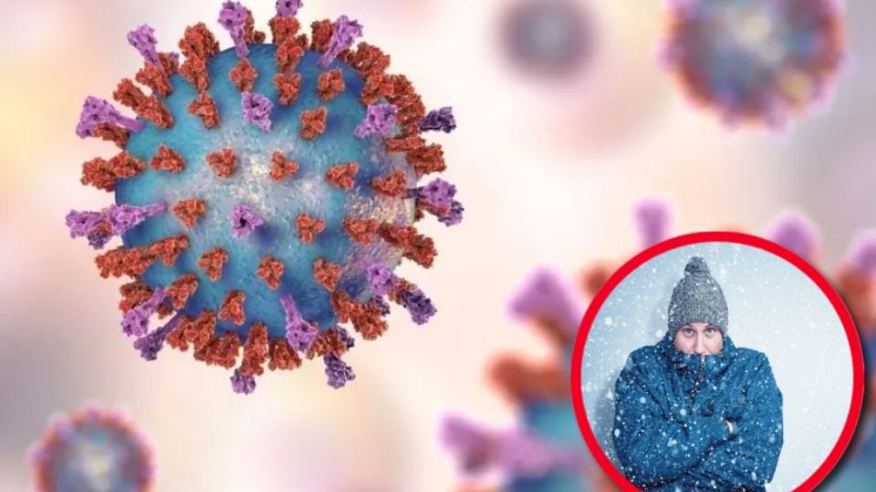 ¿Tos, estornudos, fiebre y un agotamiento que no cede?, no es gripe común ni influenza