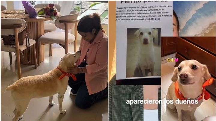 Perrita se reencuentra con su dueña tras siete años; así fue la conmovedora escena | VIDEO
