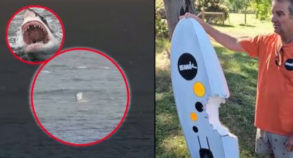 MOMENTO EXACTO en que surfista sobrevive a ataque de tiburón blanco; peleó debajo del agua por su vida | VIDEO