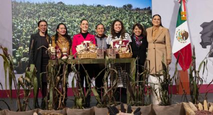 Sheinbaum lanza el Plan Nacional de Maíz Nativo; buscan fortalecer la raíz agrícola de México