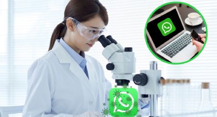 Alertan por virus que se transmite vía WhatsApp; podría dejar inservible tu equipo celular