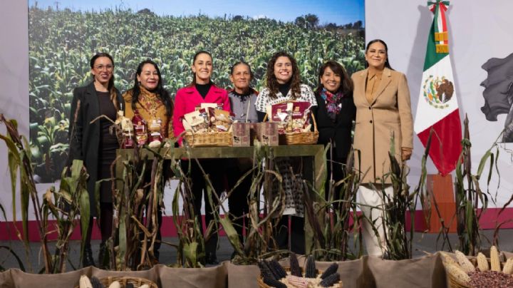Sheinbaum lanza el Plan Nacional de Maíz Nativo; buscan fortalecer la raíz agrícola de México