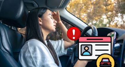 Licencia de Conducir Permanente: darán de baja todas aquellas que incumplan con estos requisitos