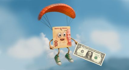 Peso levanta el vuelo frente al dólar; tipo de cambio al cierre HOY 14 de noviembre