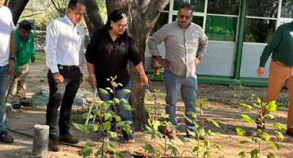 Implementan proyectos ambientales y reforestan el Instituto Tecnológico de Nuevo Laredo