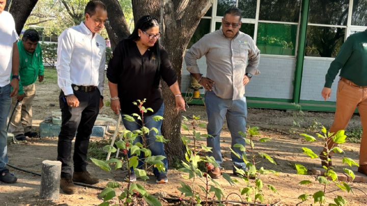 Implementan proyectos ambientales y reforestan el Instituto Tecnológico de Nuevo Laredo