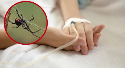 Tragedia en Nuevo León por viuda negra; madre de familia fallece tras desesperada búsqueda de antídoto