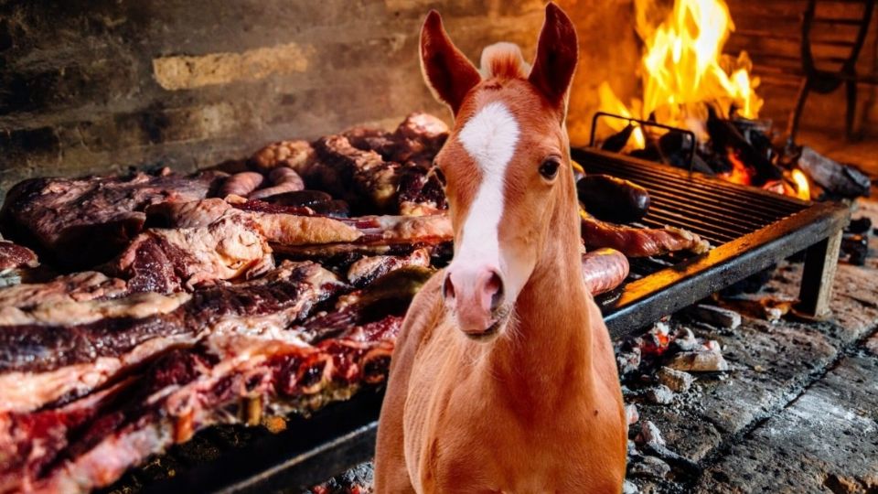 El Potrillo está de manteles largos.