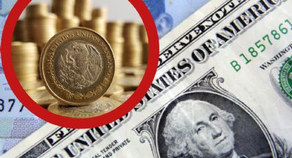 Peso mexicano somete al dólar y muestra su fuerza; tipo de cambio HOY 17 de noviembre
