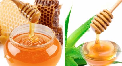 Miel de abeja vs. miel de agave: ¿cuál es la mejor y la más recomendada por los nutriólogos?