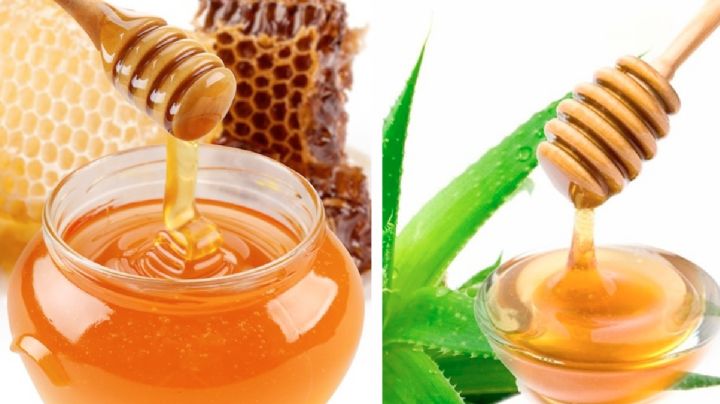 Miel de abeja vs. miel de agave: ¿cuál es la mejor y la más recomendada por los nutriólogos?