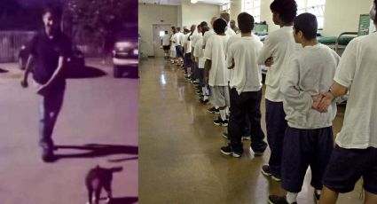 Joven de Laredo que hizo 'volar' a gatito ya está internado; enfrenta cargos por crueldad animal