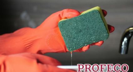 ¿Dejas la esponja en jabón? Profeco revela por qué es un grave error