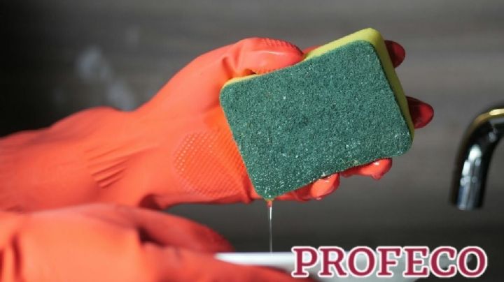 ¿Dejas la esponja en jabón? Profeco revela por qué es un grave error