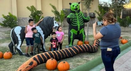El Zoológico de Nuevo Laredo brilla de noche con el 'aZoostate' y reúne a miles de familias