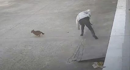 Hombre intenta patear a perrito callejero y el 'karma instantáneo' lo alcanza | VIDEO