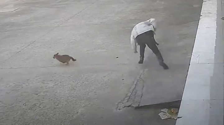 Hombre intenta patear a perrito callejero y el 'karma instantáneo' lo alcanza | VIDEO