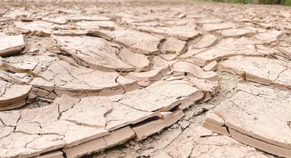 El río Bravo está en crisis; no llega agua de Estados Unidos