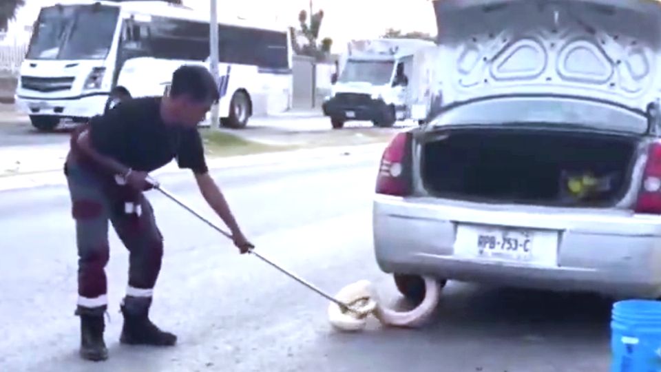 Rescatistas acudieron a la llamada de emergencia.