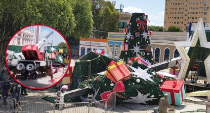 Empleado muere aplastado por árbol navideño gigante; 'Santa Claus' saltó para salvar su vida | VIDEO