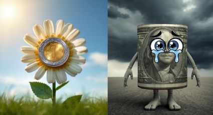 Peso mexicano ‘florece’ tras días nublados; tipo de cambio al cierre HOY 25 de noviembre