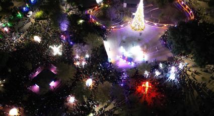 Esta es la fecha del Encendido del Pino Navideño y de la inauguración del Viveros Mágico 2025