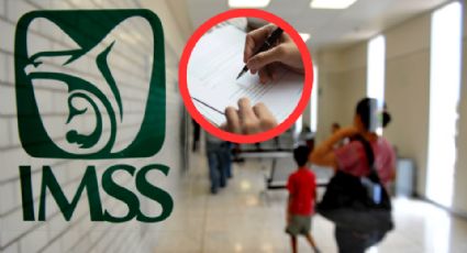 IMSS 2025: así puedes tener servicios médicos sin empleo formal ni cotizar como asalariado
