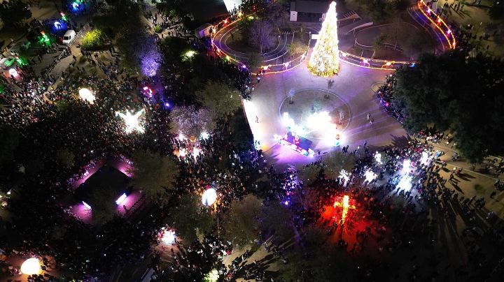 Esta es la fecha del Encendido del Pino Navideño y de la inauguración del Viveros Mágico 2025