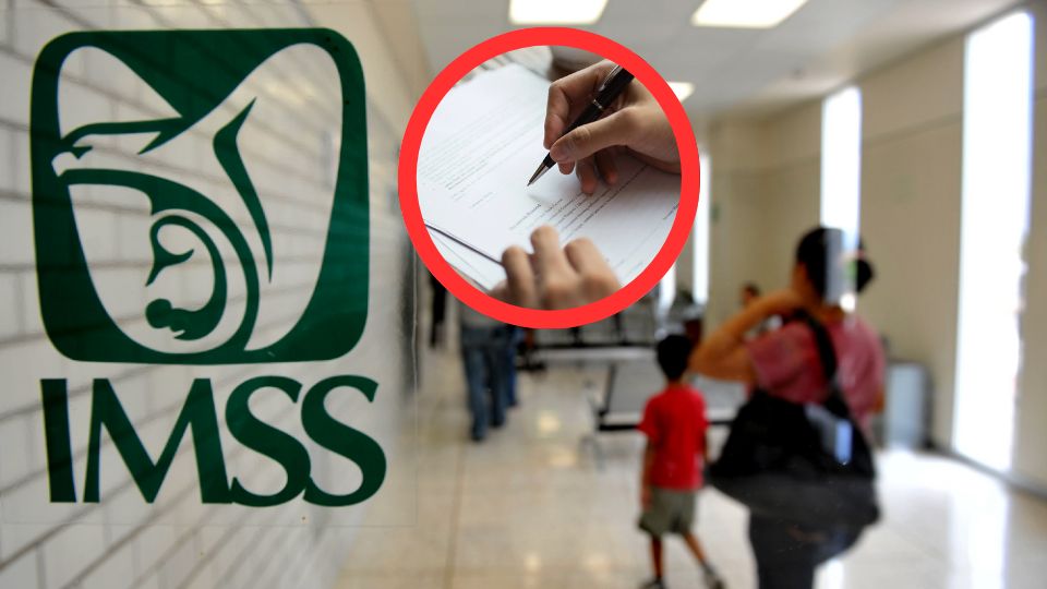 IMSS 2025: así puedes afiliarte Seguro de Salud para la Familia para tener servicios médicos sin empleo formal