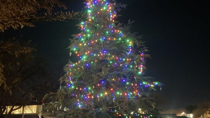 Encendido del pino navideño en Laredo; ¿cuándo es y a qué hora?