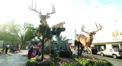 Impulsa cacería economía de Nuevo Laredo; más de 700 ranchos de la región estarán participando