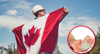 Ofrecen trabajo en Canadá con sueldo de 34 mil pesos, de lunes a viernes; estos son los requisitos