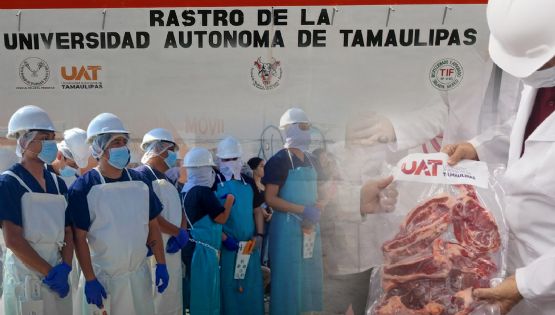 Rastro TIF de la UAT producirá carne para el mercado internacional