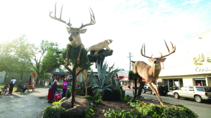 Impulsa cacería economía de Nuevo Laredo; más de 700 ranchos de la región estarán participando