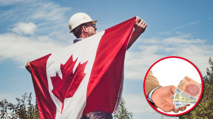 Ofrecen trabajo en Canadá con sueldo de 34 mil pesos, de lunes a viernes; estos son los requisitos