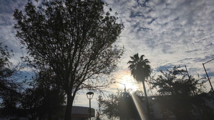 Frente Frío 17 llega a Nuevo Laredo; ¿a qué hora bajará la temperatura a 9 grados?