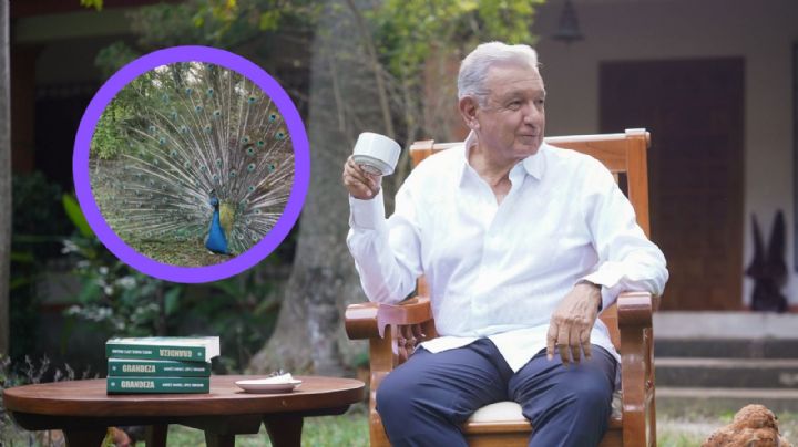 'La Chingada': ¿cómo es la quinta de AMLO, en donde escribió un libro y vive retirado de la política?