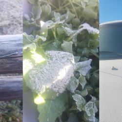 Tamaulipas se cubre de blanco: Miquihuana registra -6.7 °C, la temperatura más baja del otoño