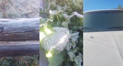 Tamaulipas se cubre de blanco: Miquihuana registra -6.7 °C, la temperatura más baja del otoño