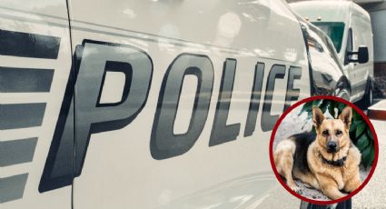 Vecinos graban agresión contra perros en Laredo; su dueño los golpeaba y ahorcaba con un cinturón