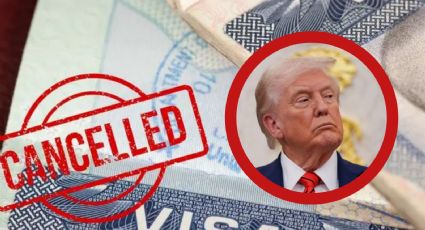 Gobierno de Trump ha cancelado más de 80 mil Visas en lo que va del año; muchas son de estudiantes