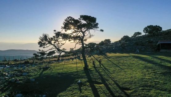 Pino Solo: el tesoro natural de Tamaulipas que te desconecta del ruido de la ciudad