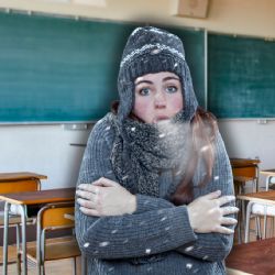 Frente Frío 13 en Tamaulipas: ¿se suspenden las clases en educación básica este lunes?; esto sabemos